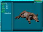 A wild bladeback boar